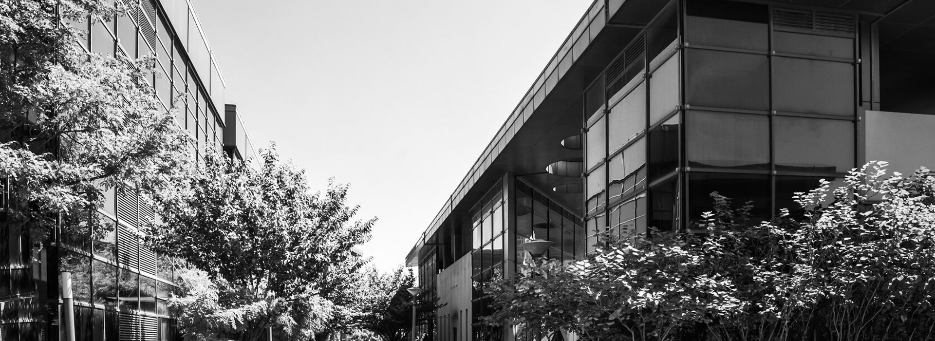 Black and white image of two glass buildings